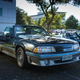 Illustration for article titled New Zealand: Caffeine Classics Photo Dump